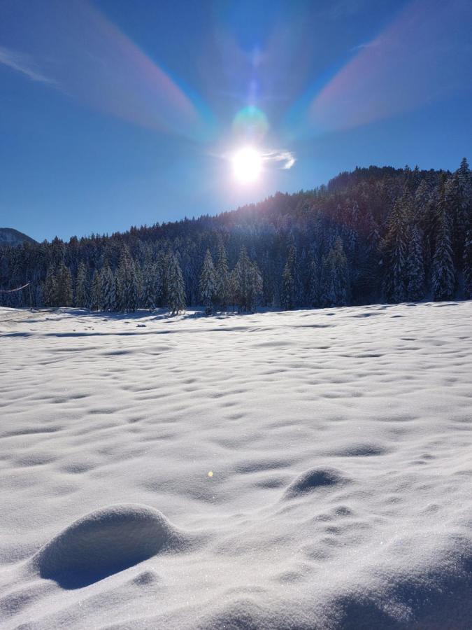 Villa Bichlhof Riedenberg Thiersee Esterno foto
