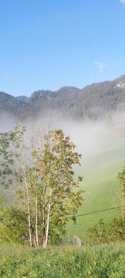 Villa Bichlhof Riedenberg Thiersee Esterno foto
