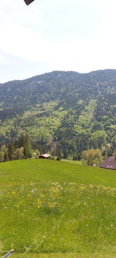 Villa Bichlhof Riedenberg Thiersee Esterno foto