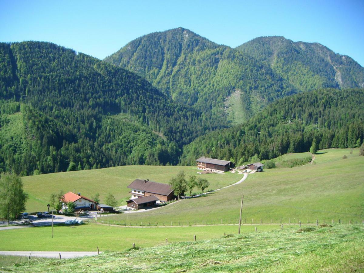 Villa Bichlhof Riedenberg Thiersee Esterno foto